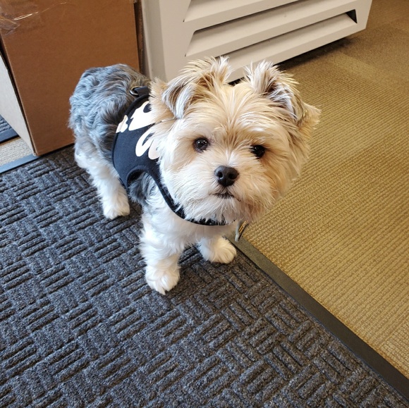 Meet your Posher, Kaye - Picture 1 of 1